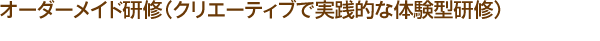 オーダーメイド研修（クリエーティブで実践的な体験型研修）